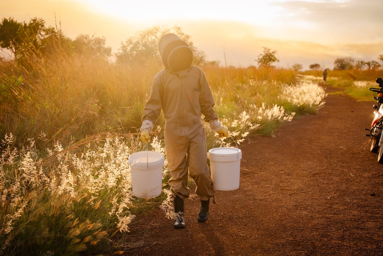 Beekeeper in protective suit carrying two buckets of honey at dusk