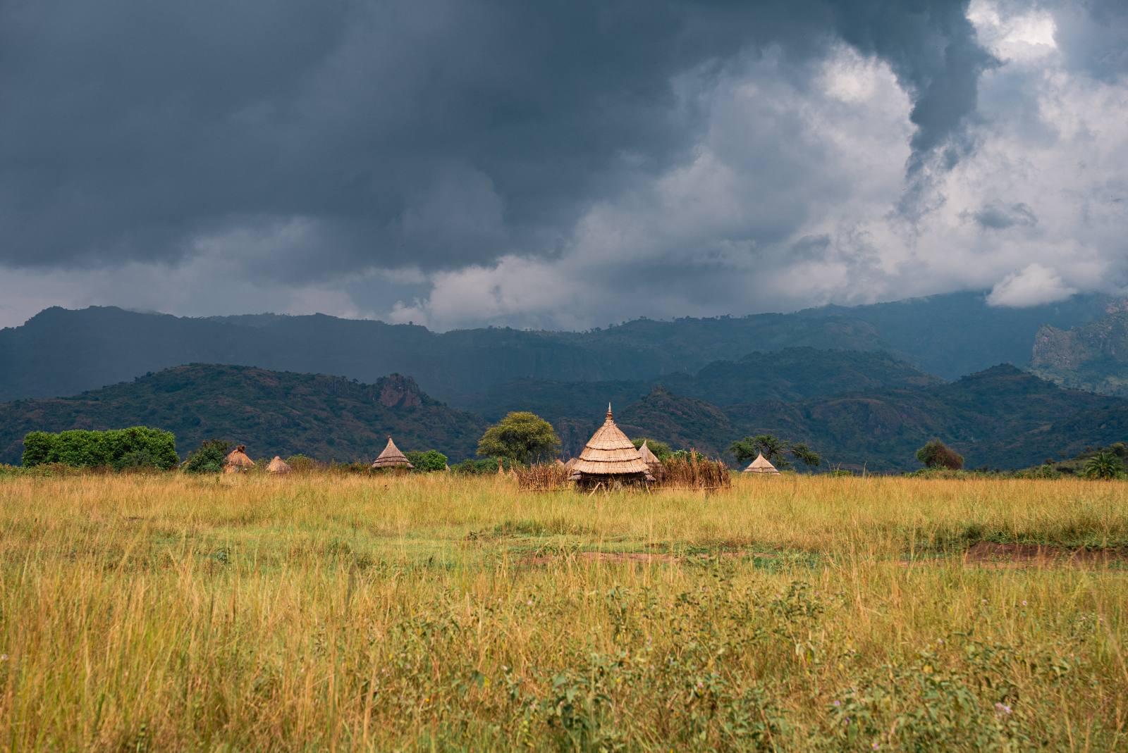 Karimojong settlement of thatched homes beneath Mount Kadam