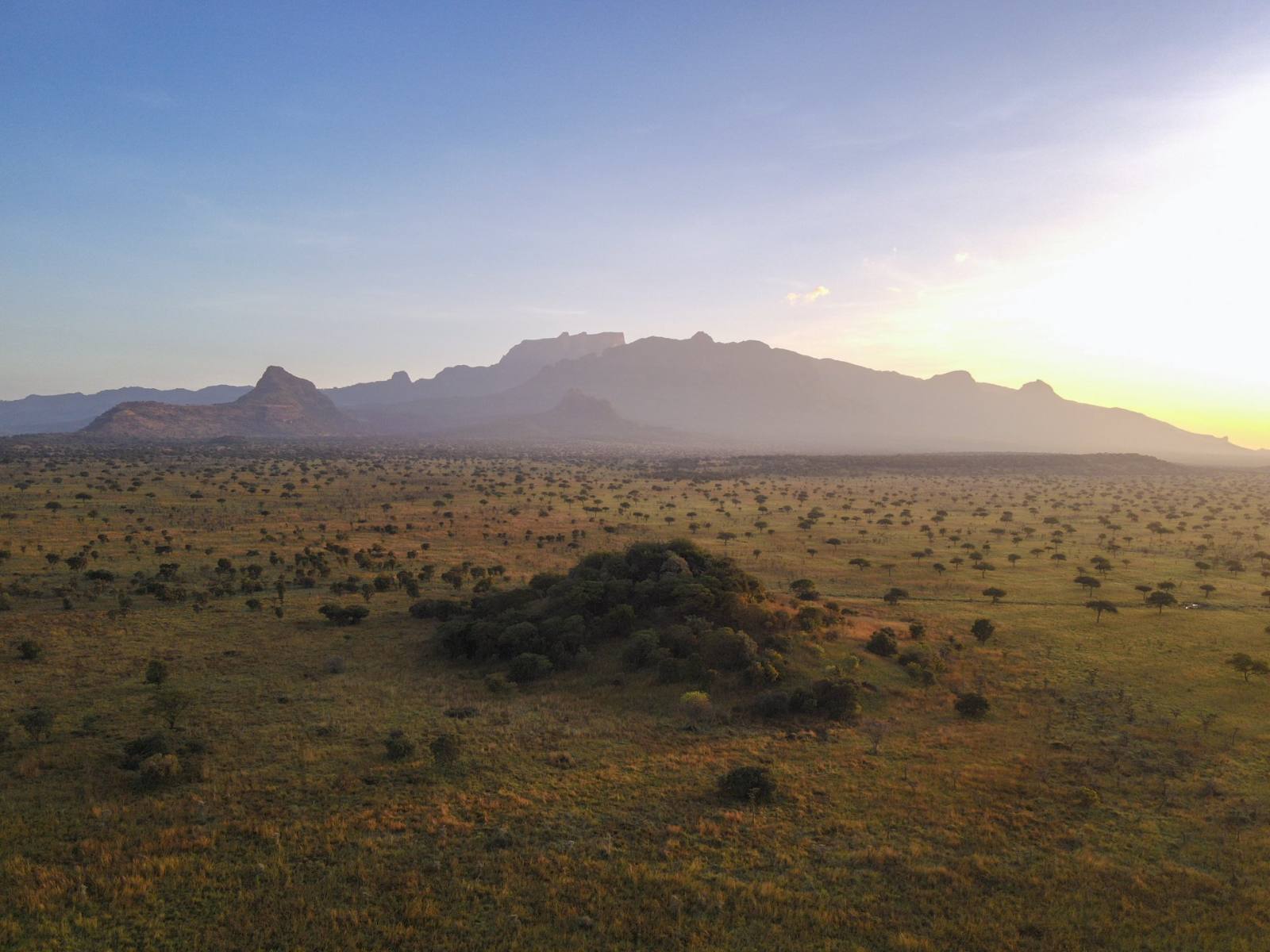 A mountain range rising over savannah plains at dusk
