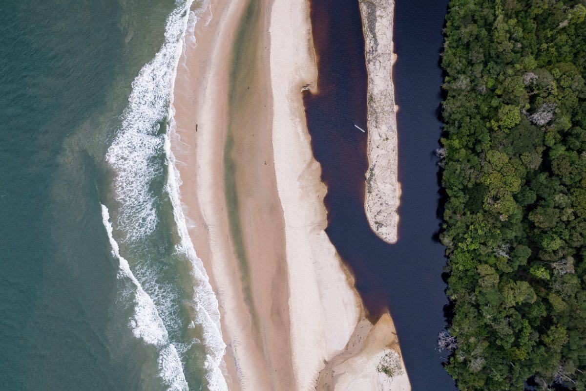 Where the forest meets the river and the sea, from the air
