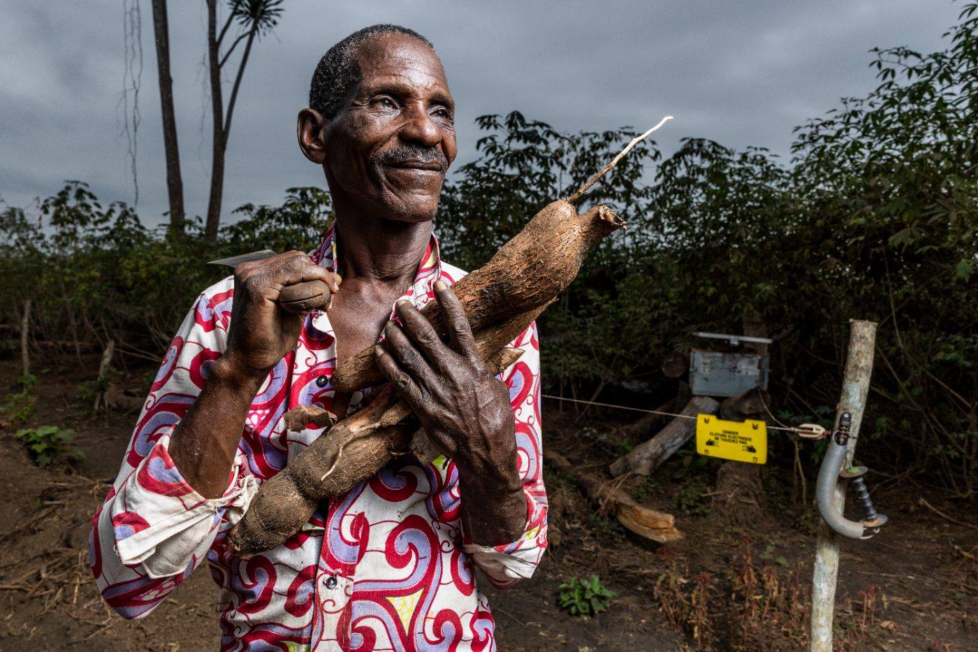 A farmer with his cassava harvest beside the fence