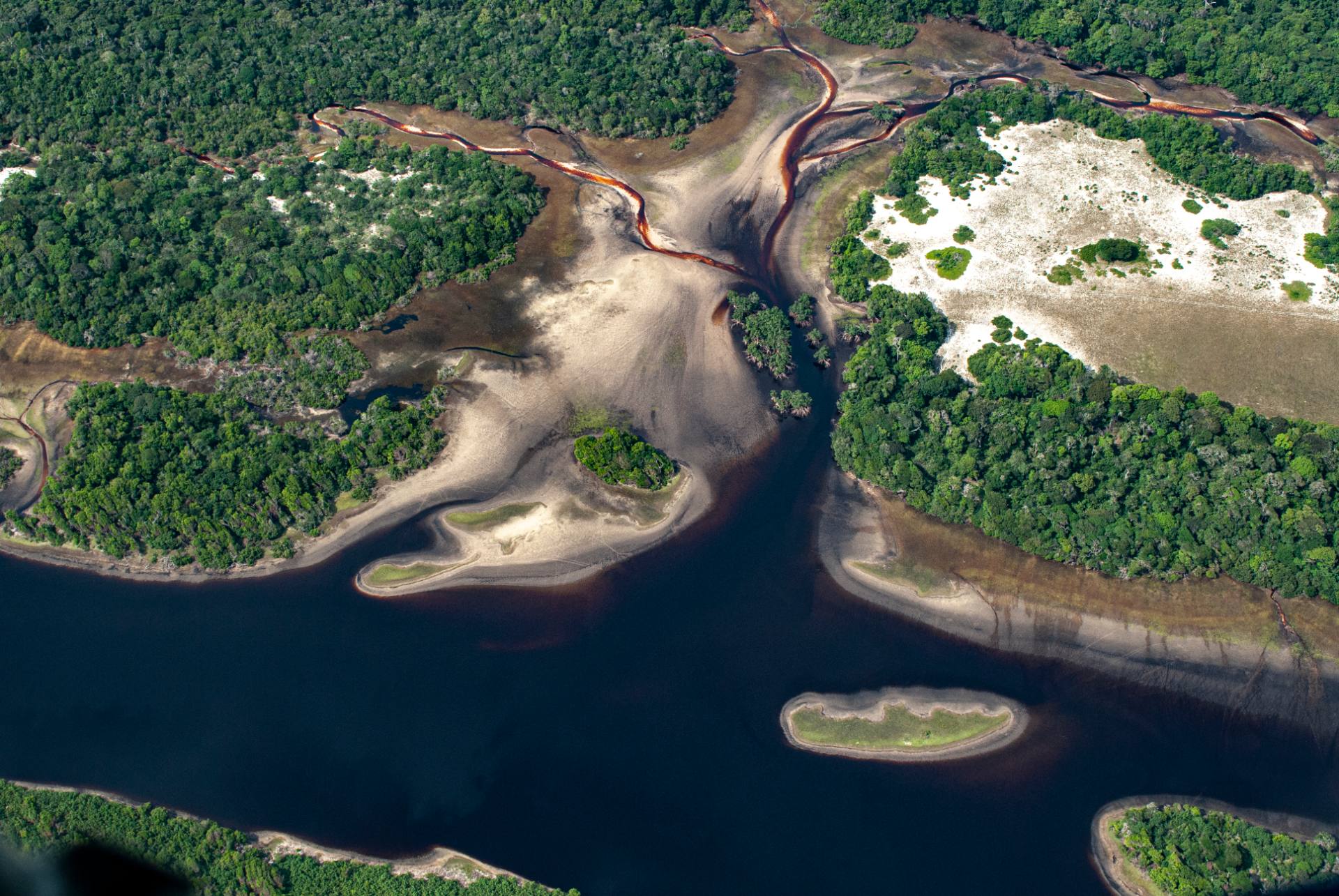 A river through Gabon’s rainforest