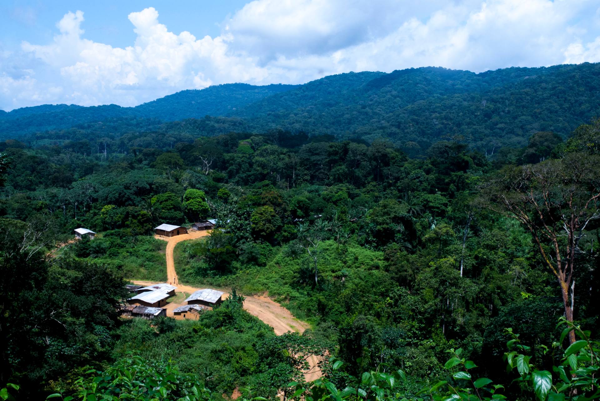 A village and forest sharing one landscape, film poster