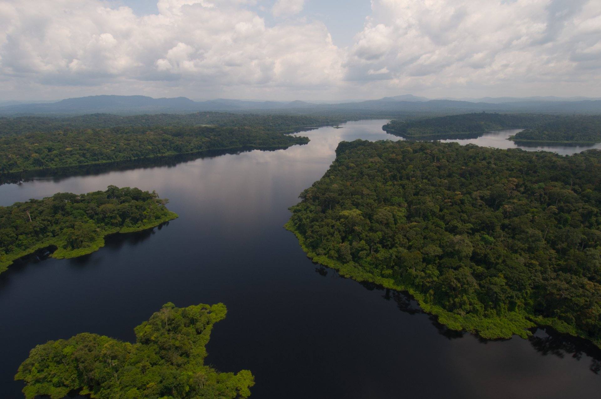 A river winding through forest, seen from the air