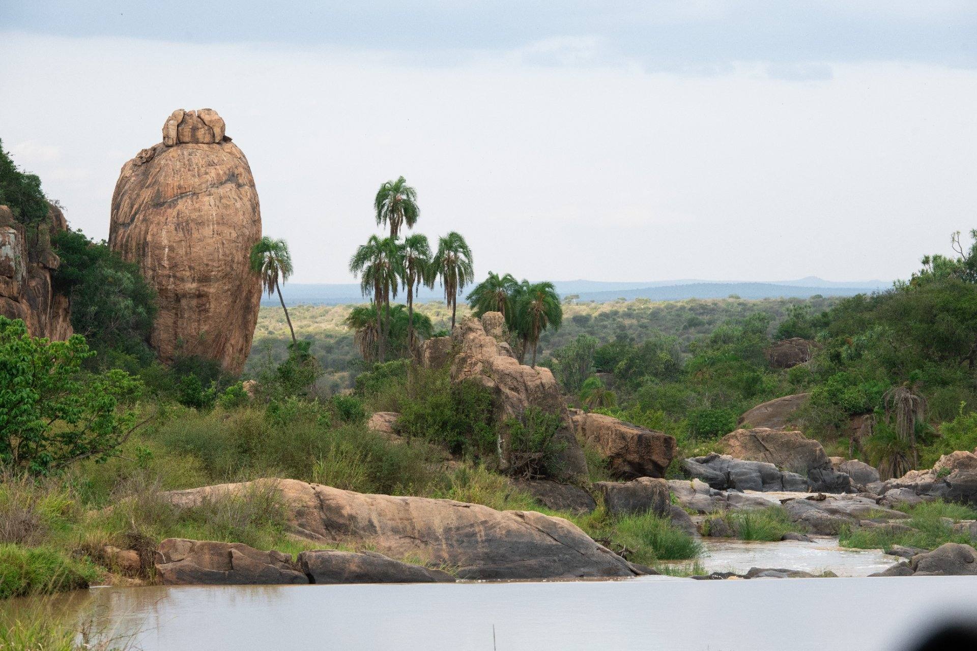 The river winding through kopjes and doum palms, Laikipia