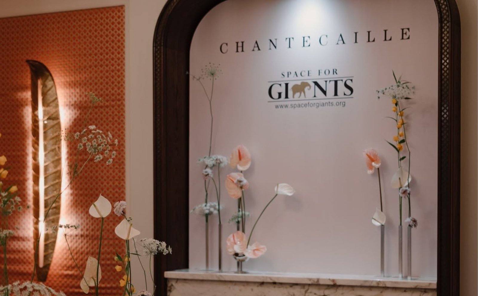 Chantecaille and Space for Giants installation at La Maison Ani