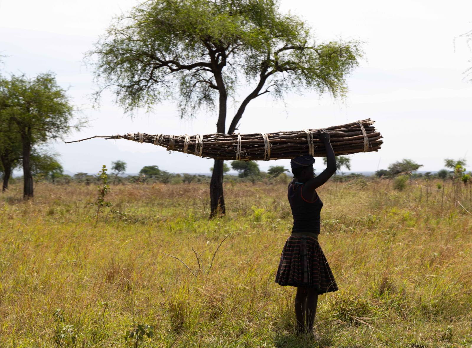 Woman carrying a bundle of firewood across grassland