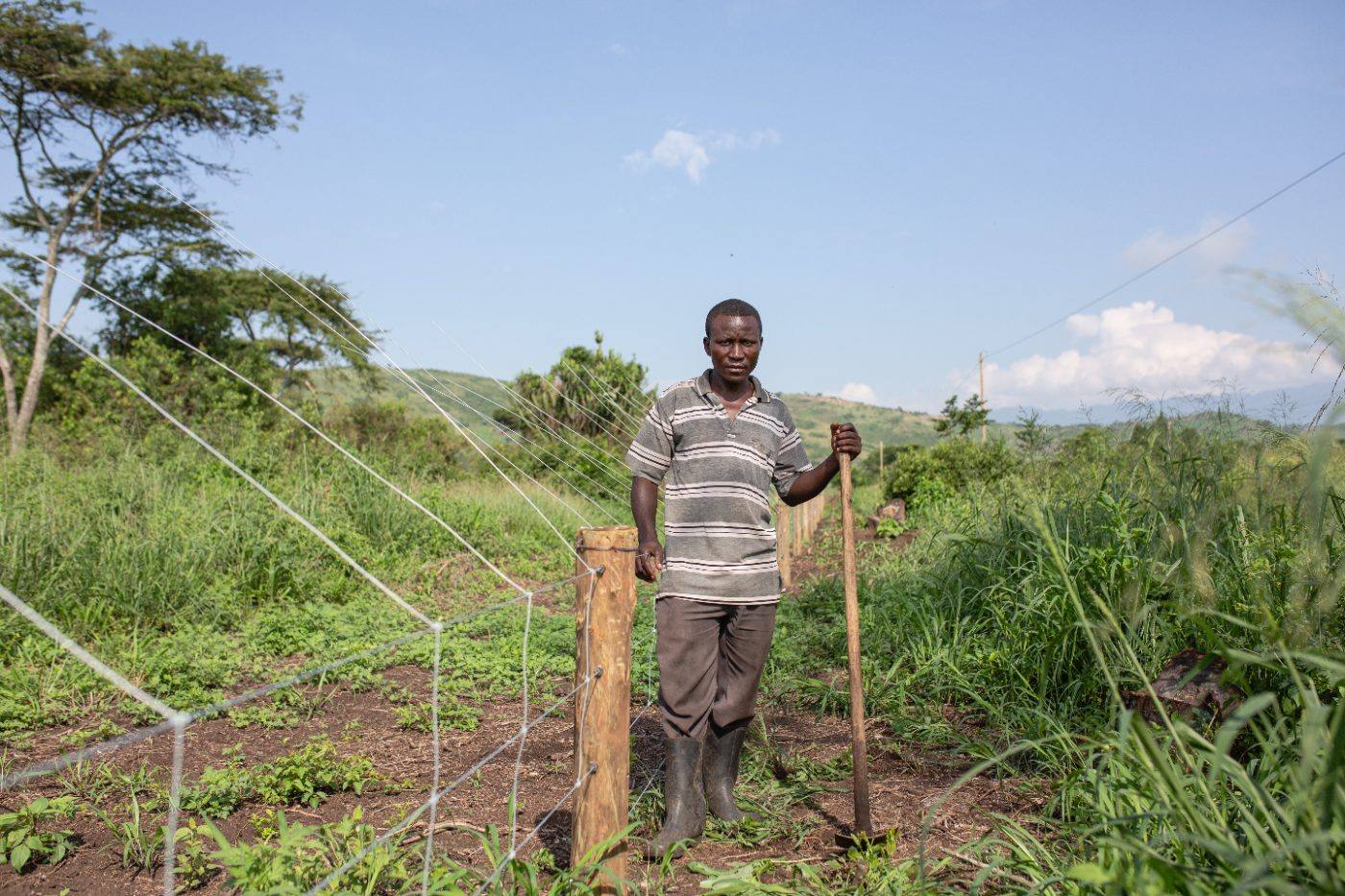 A farmer beside the new fence protecting his field