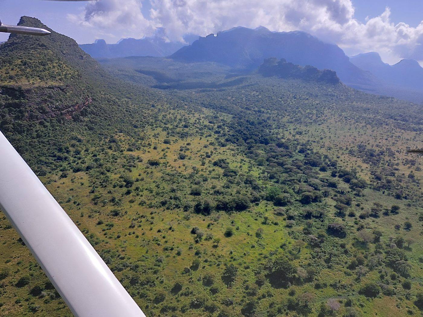The rangelands from the air, mountains beyond